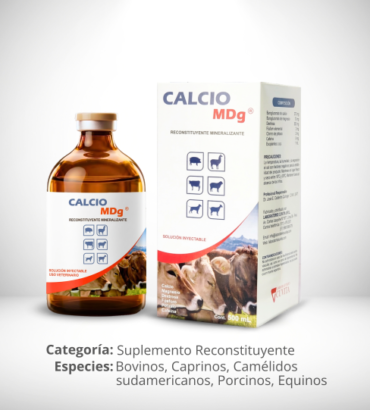 CALCIOMDG