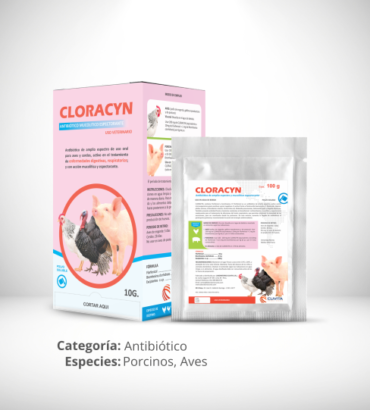 CLORACYN
