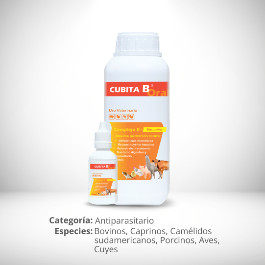 CUBITA B ORAL