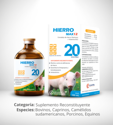 HIERROMAX 12