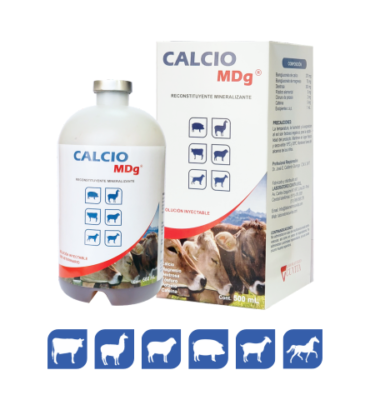 CALCIOMDG