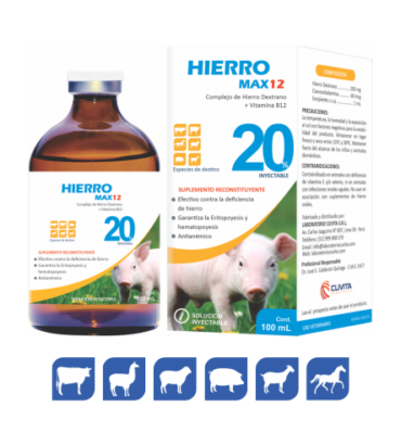 HIERROMAX 12
