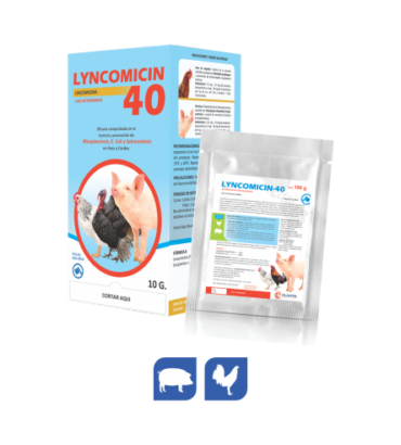 LYNCOMICIN 40