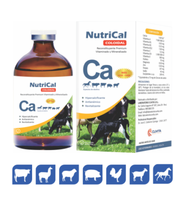 NUTRICAL COLOIDAL