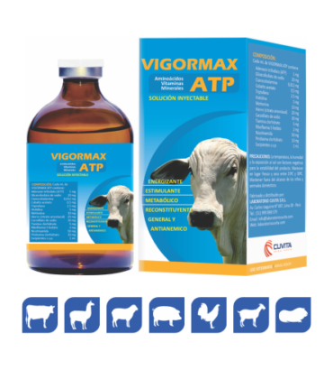 VIGORMAX ATP
