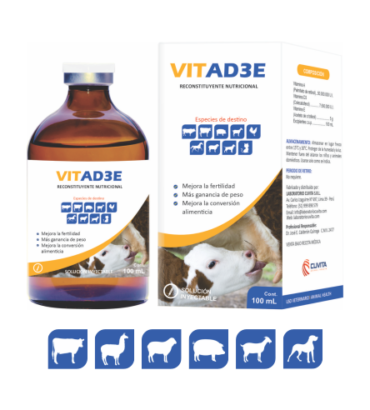 VITAD3E